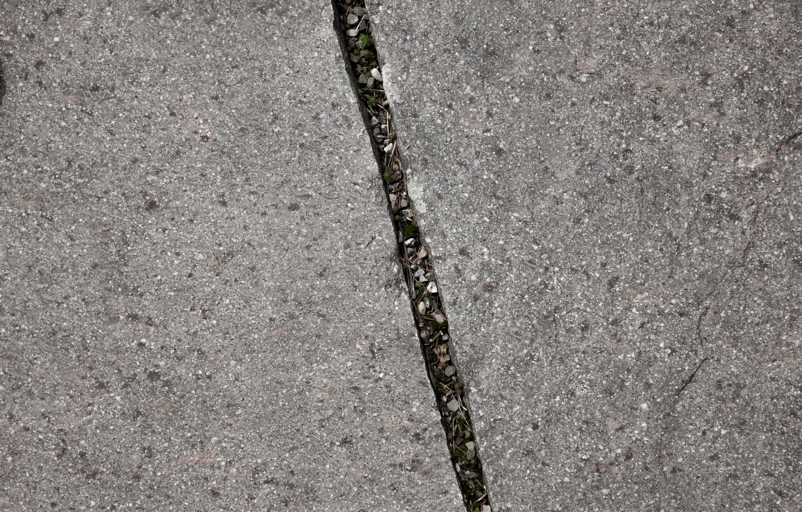 Nahaufnahme einer rissigen Betonoberfläche mit kleinen grünen Pflanzen und Schutt, der in dem schmalen Spalt wächst.